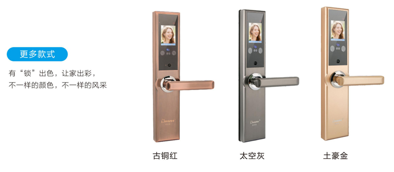 彩图3.jpg